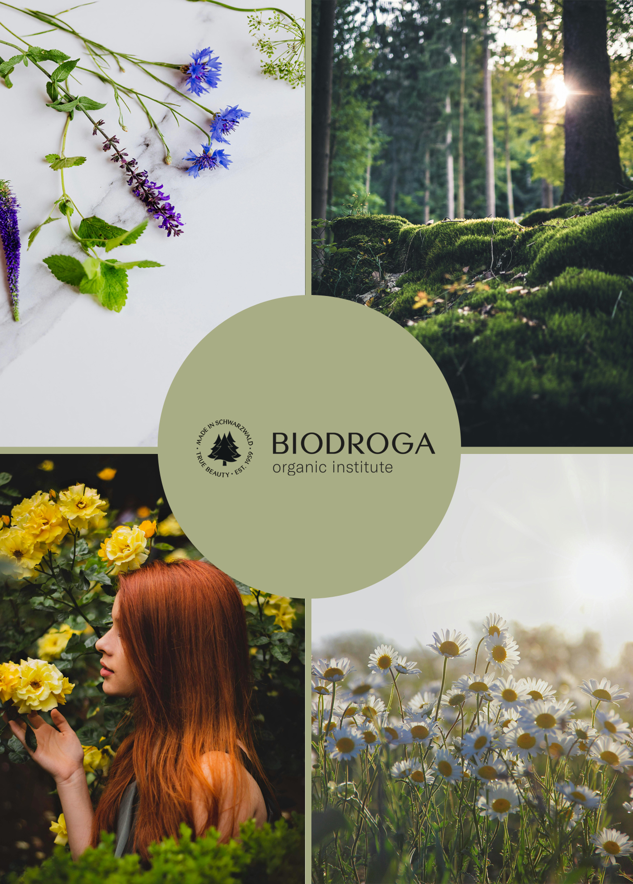 biodroga organic institute