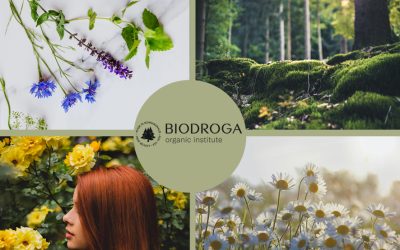 BIODROGA ORGANIC INSTITUTE