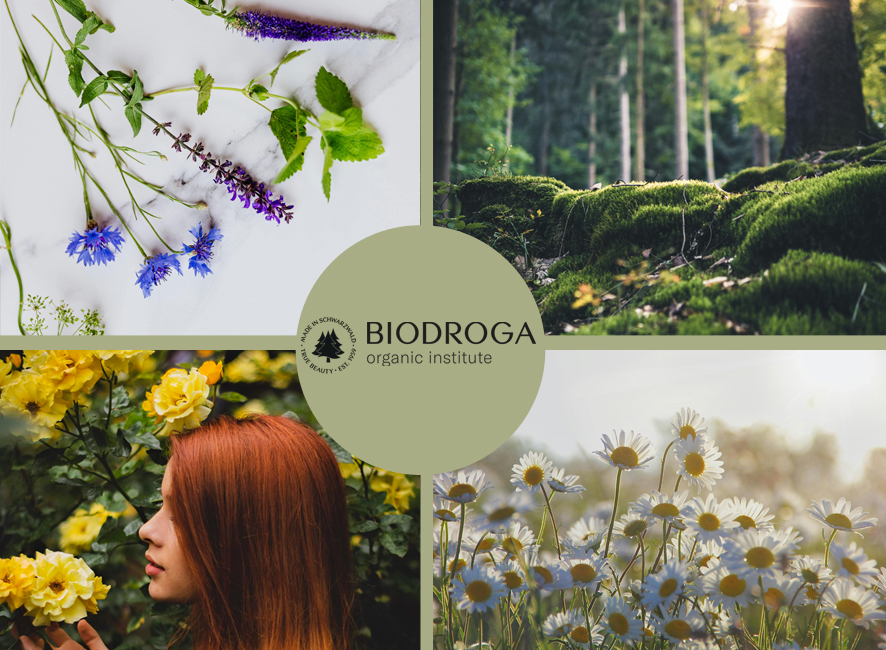 BIODROGA ORGANIC INSTITUTE